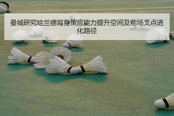 man-cheng-yan-jiu-ha-lan-de-bei-shen-ce-ying-neng-li-ti-sheng-kong-jian-ji-qian-chang-zhi-dian-jin-hua-lu-jing-3-584.jpg