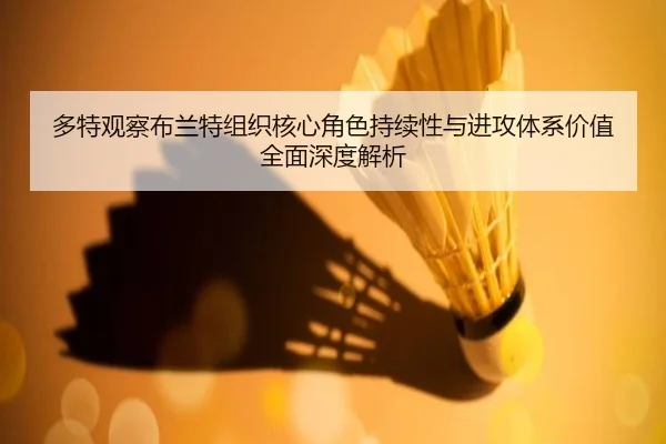 多特观察布兰特组织核心角色持续性与进攻体系价值全面深度解析 | kaiyun